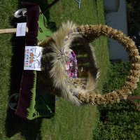 Zobacz w powiększeniu: Dożynki Gminne Baranów 2025 (12)